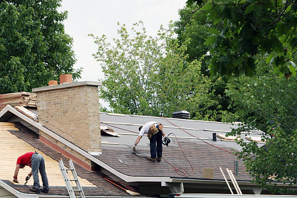 Best Roof Moss and Algae Removal  in Kingsford, MI