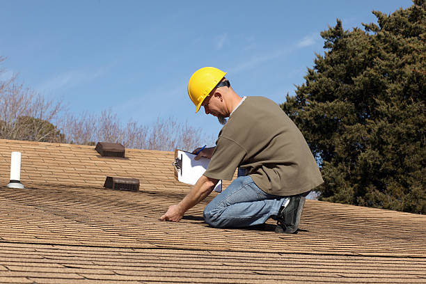 Best Roof Insulation Installation  in Kingsford, MI